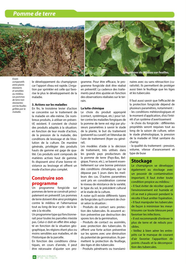 Raisonner La Protection Fongicide De La Pomme De Terre Agriculture Du