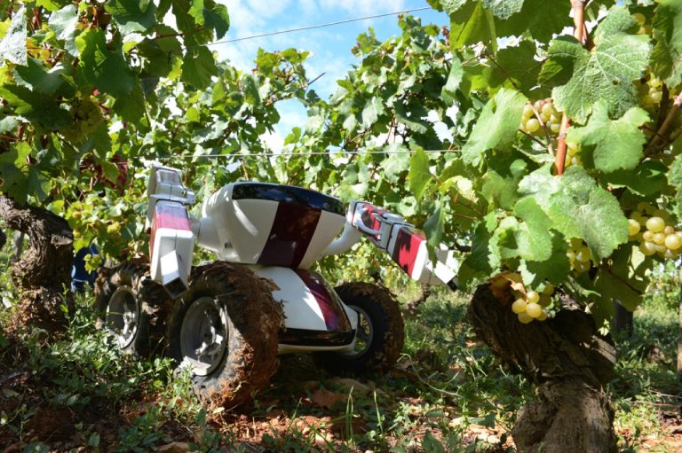 Les robots envahissent l’agriculture