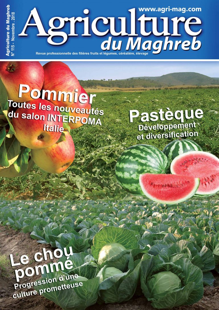 115 Agriculture du Maghreb Nov-18