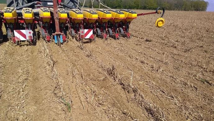 Avant le semis de maïs ou en combiné, le strip-till se développe