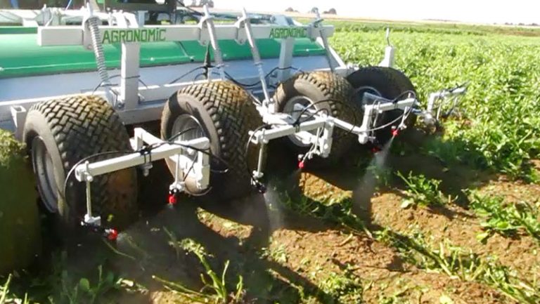 AVANT LA RÉCOLTE PLUSIEURS TECHNIQUES POSSIBLES POUR DÉFANER LES POMMES DE TERRE