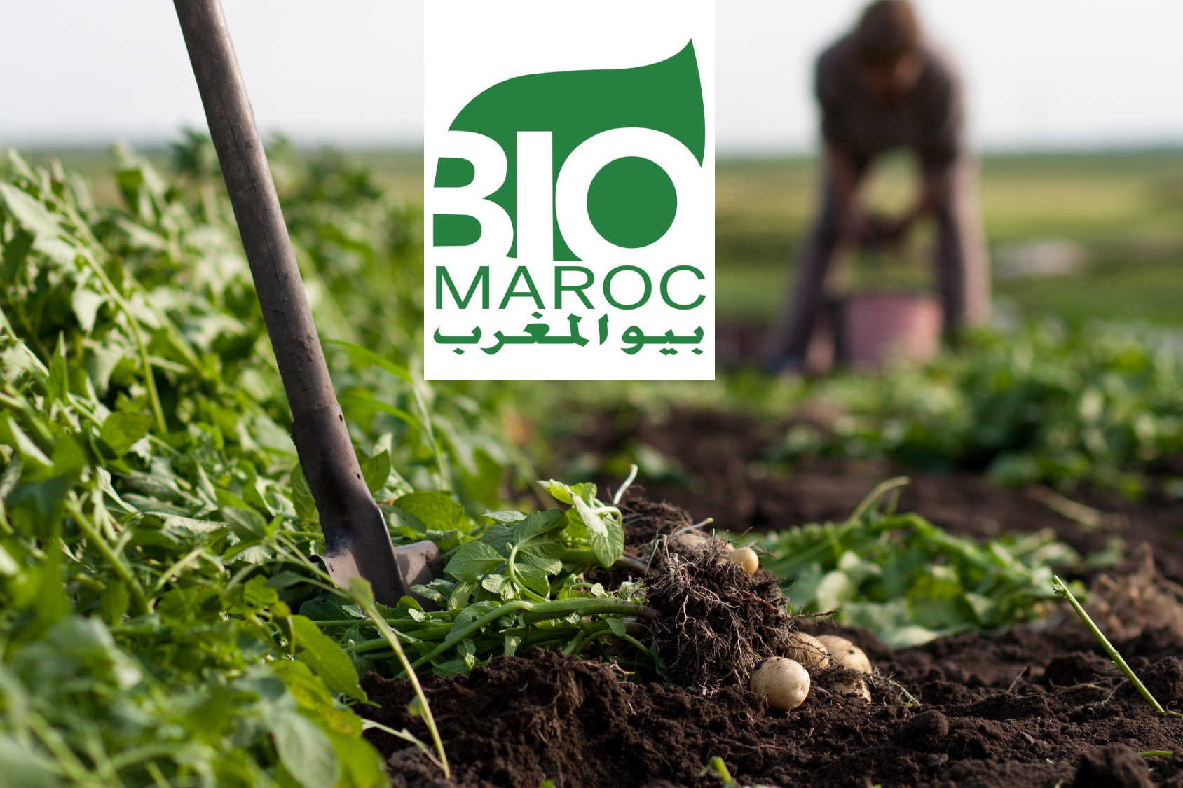 Grande Conférence Sur L'Agriculture Biologique à Marrakech ...