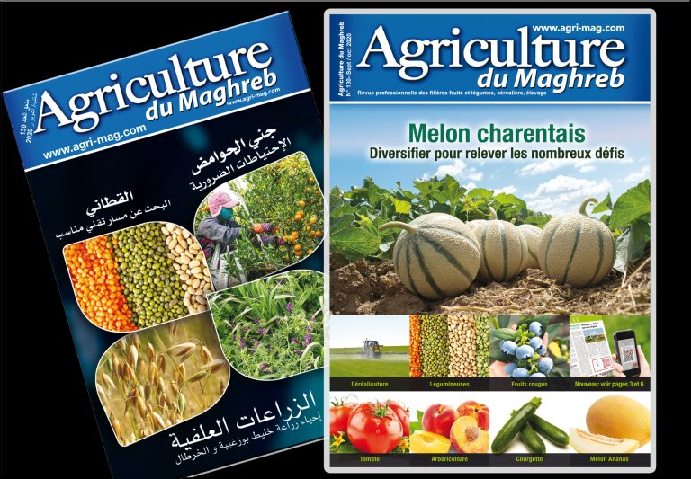 Le numéro d’octobre d’Agriculture du Maghreb est en ligne