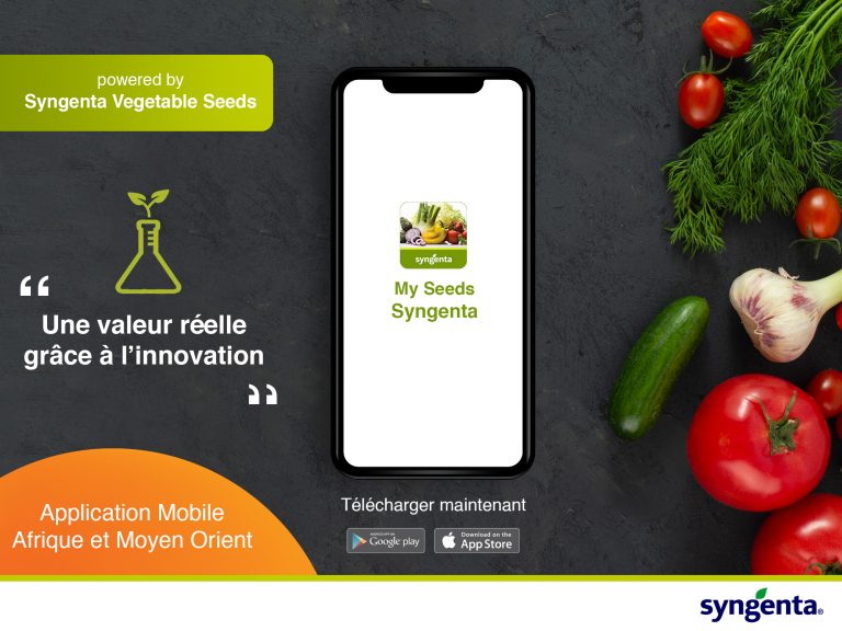 Syngenta Vegetables Seeds lance une application mobile sur le territoire de l’Afrique et du Moyen-Orient