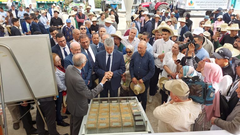 L’INRA et l’ICARDA : nouvelles obtentions végétales au profit des agriculteurs