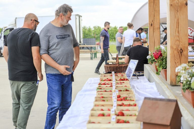 La plus grande collection de variétés de fraises au monde en Pologne !