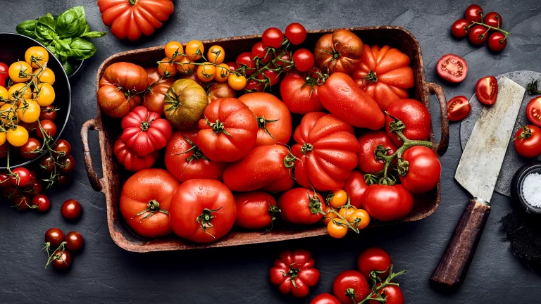 Défis et opportunités du marché de la tomate