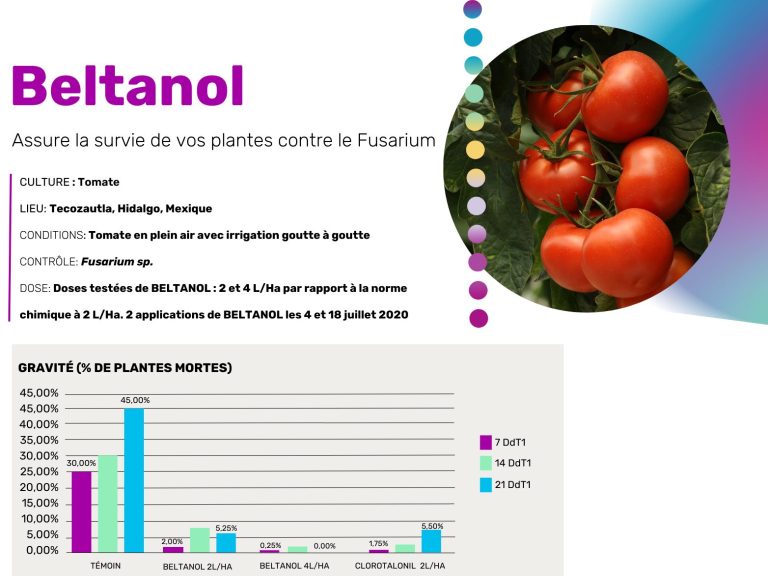 Innovation de Probelte pour l’agriculture au Maroc, le cas du Beltanol